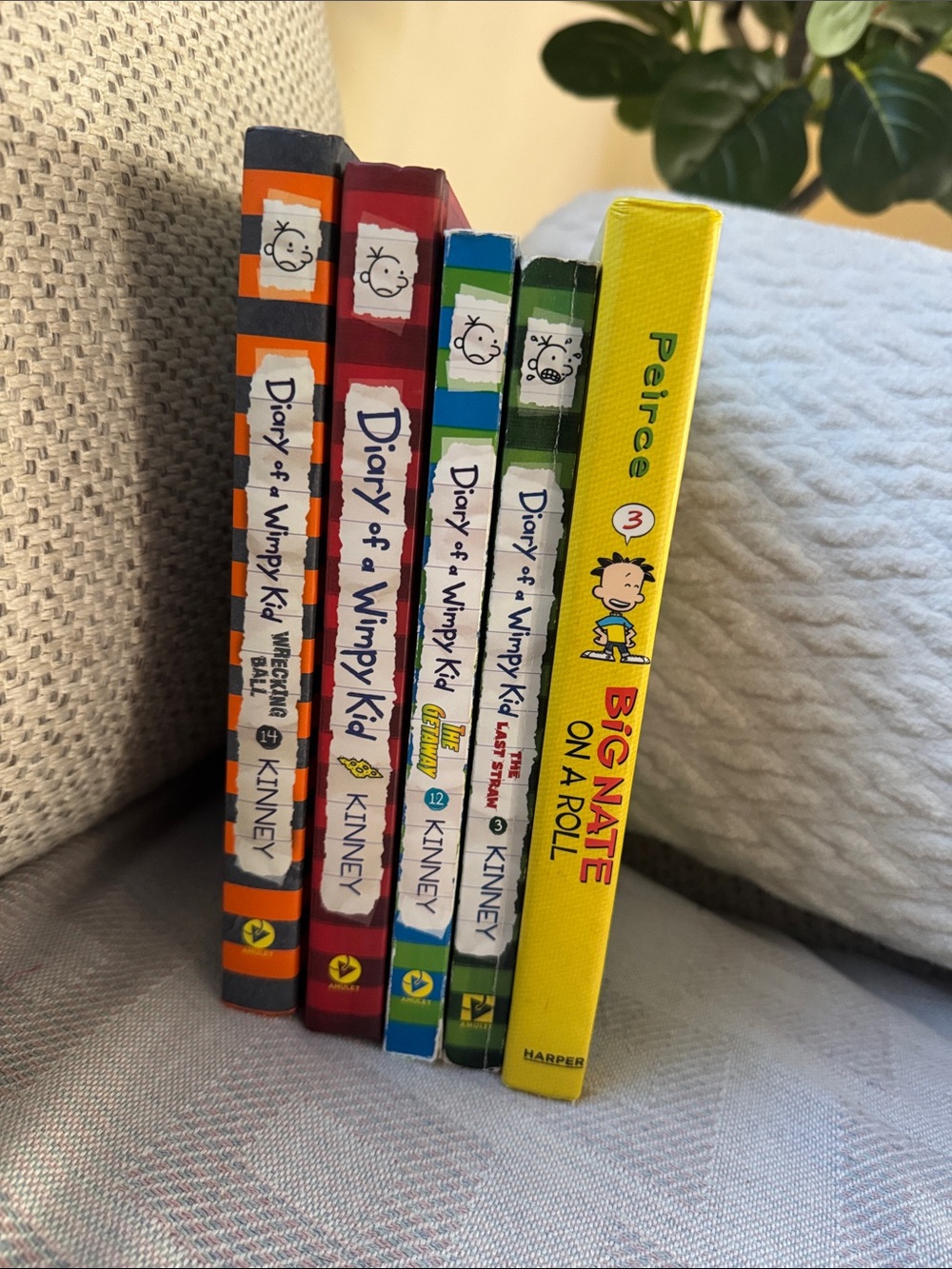 Diary of a Wimpy Kid Book Set with Big Nate